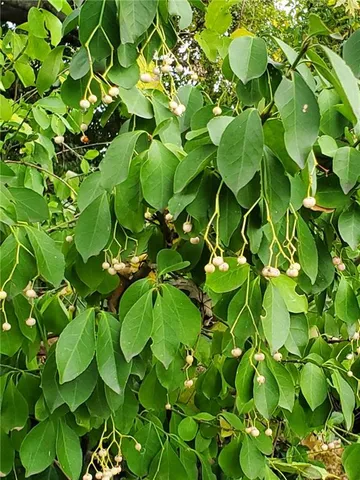 $199,950 | 2940 North 63rd Street, Kansas City, KS 66104