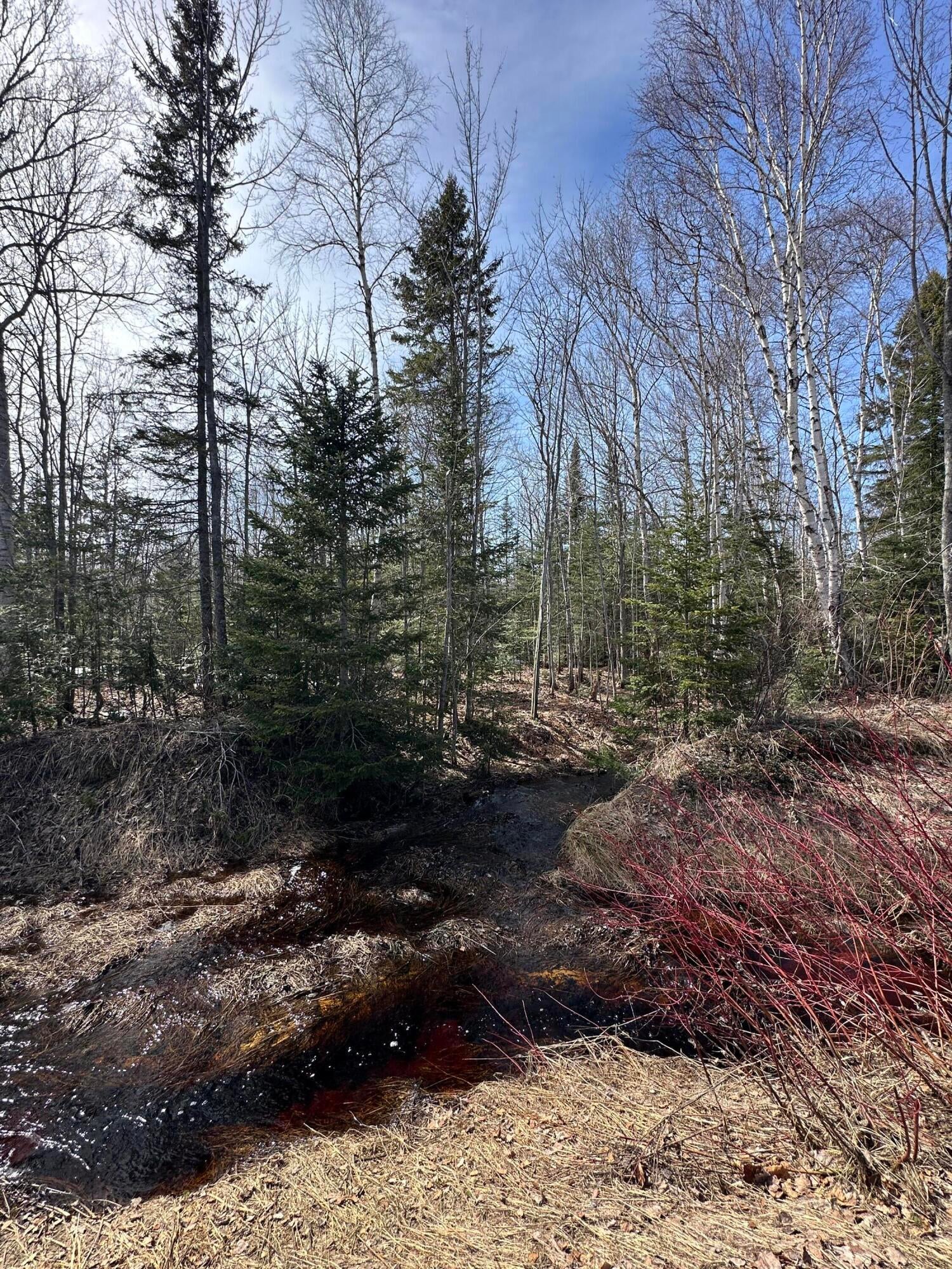 10170 North Whitefish Point Road Paradise, MI 49768 - Photo 23 of 26 Gallery Image 23