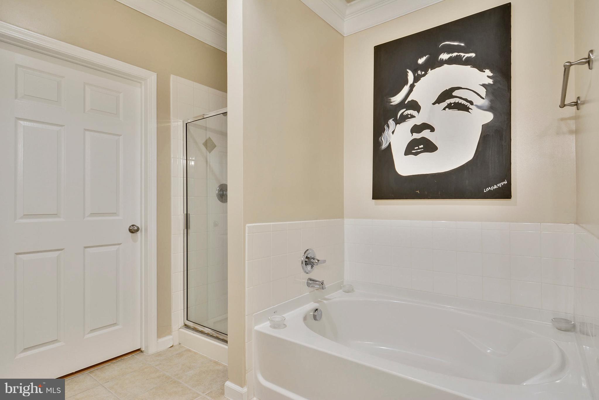 508 Sunset View Terrace Southeast, Unit 106 Leesburg, VA 20175 - Photo 15 of 25 Bath (Master)