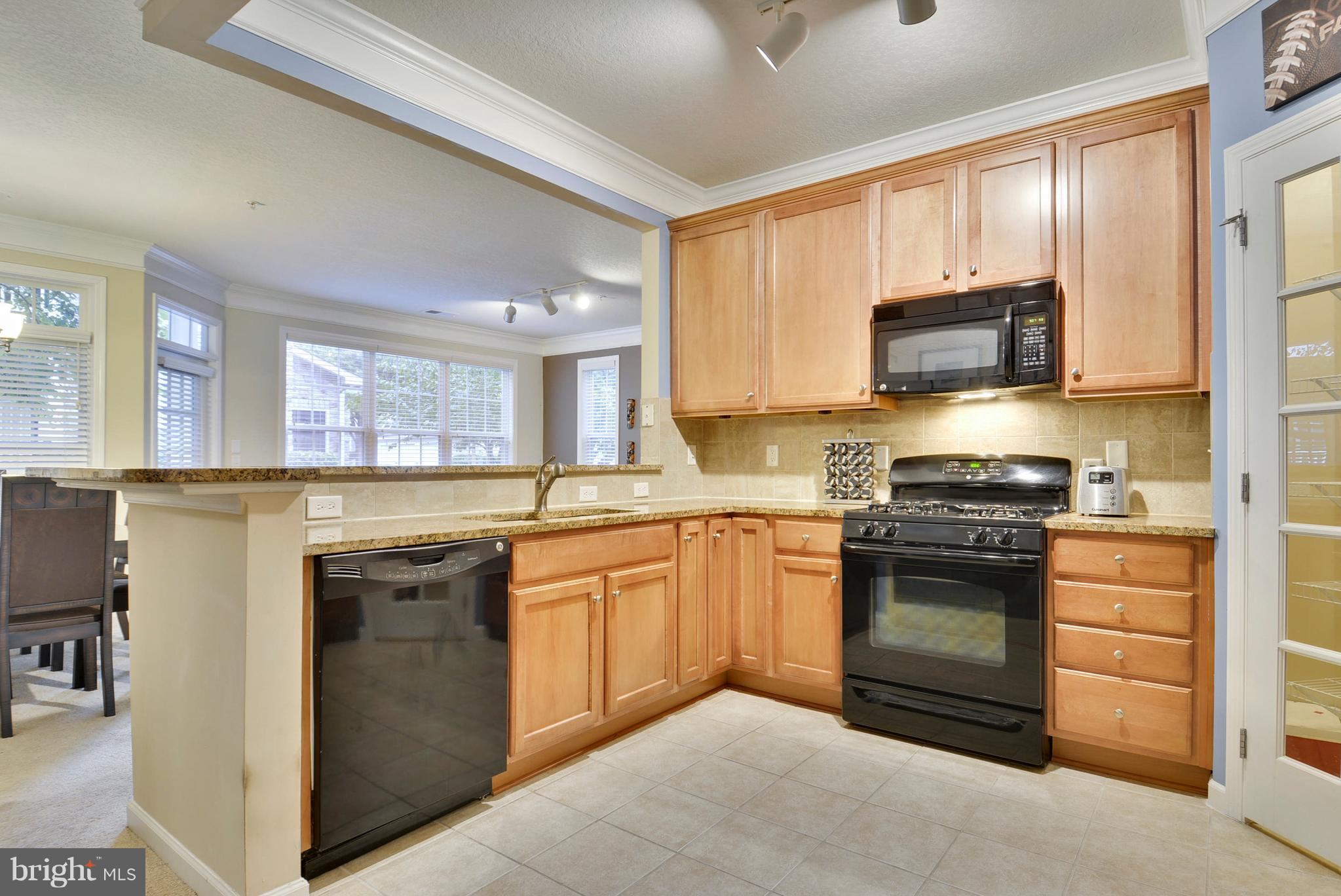 508 Sunset View Terrace Southeast, Unit 106 Leesburg, VA 20175 - Photo 3 of 25 Open Kitchen with Granite Countertops