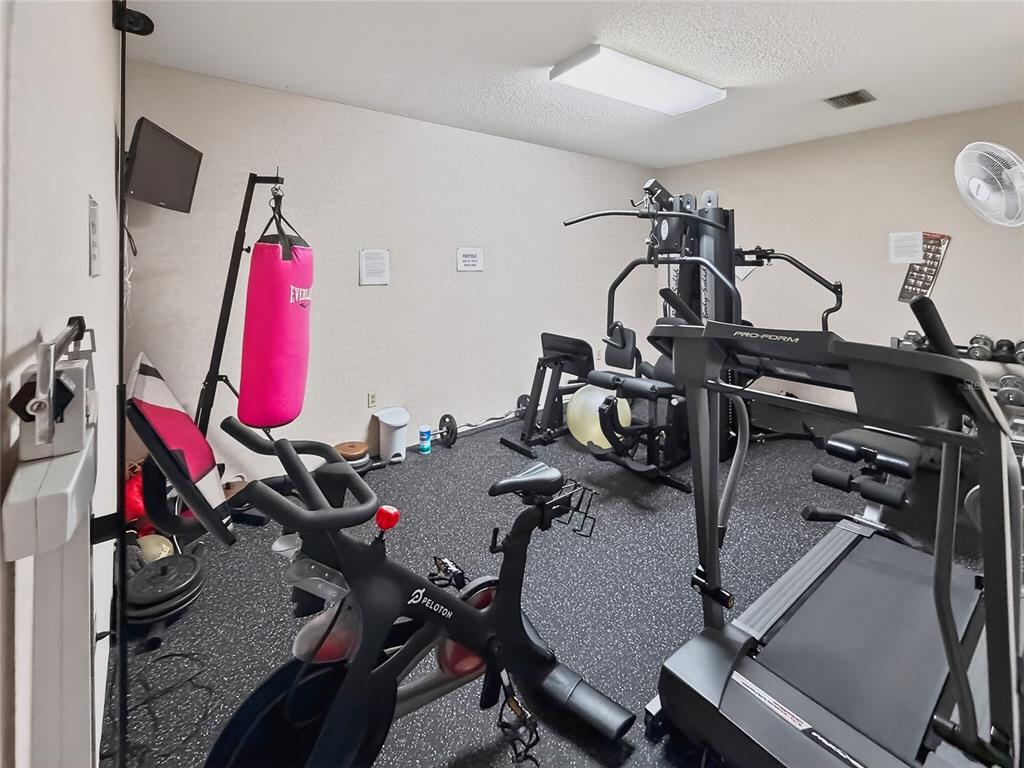 4160 Fruitville Road, Unit 11 Sarasota, FL 34232 - Photo 62 of 63 a view of a room with gym equipment