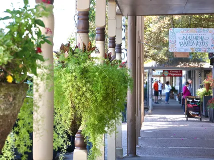 a view of path along with retail shop and buildings