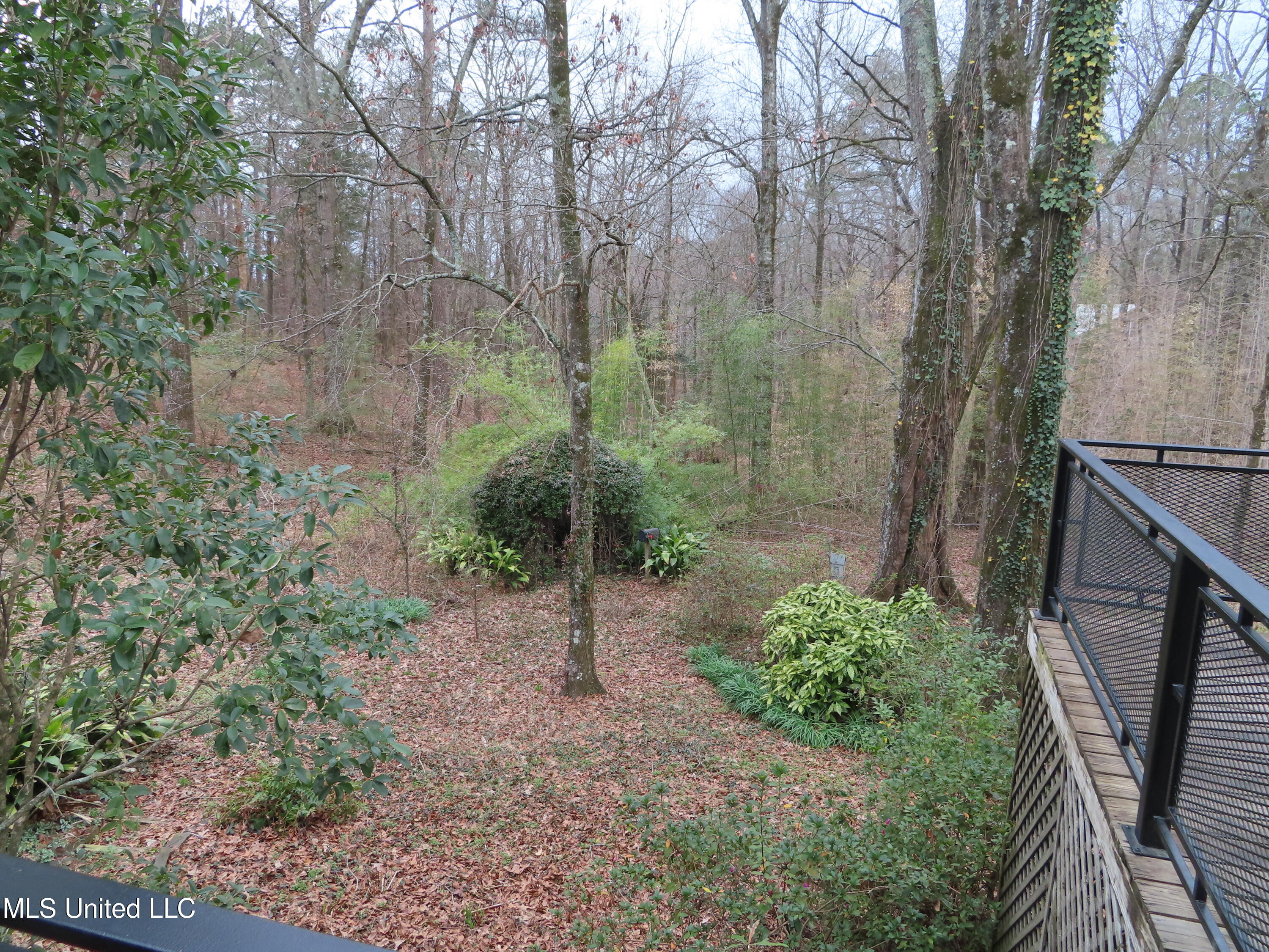 10563 Springridge Road Terry, MS 39170 - Photo 5 of 37 IMG_3013