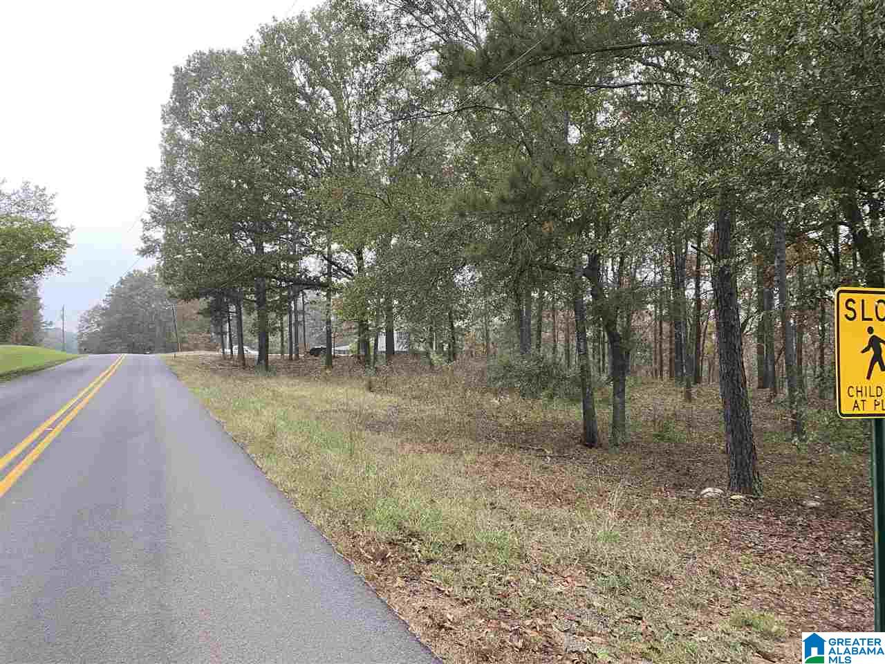 975 Deer Trace Road Pell City, AL 35125 - Photo 3 of 5