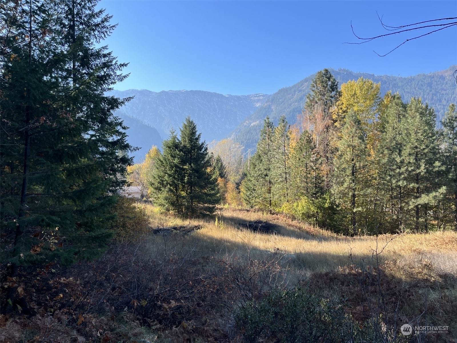 1 Embroden Road Leavenworth, WA 98826 - Photo 1 of 6 a view of a yard with a mountain