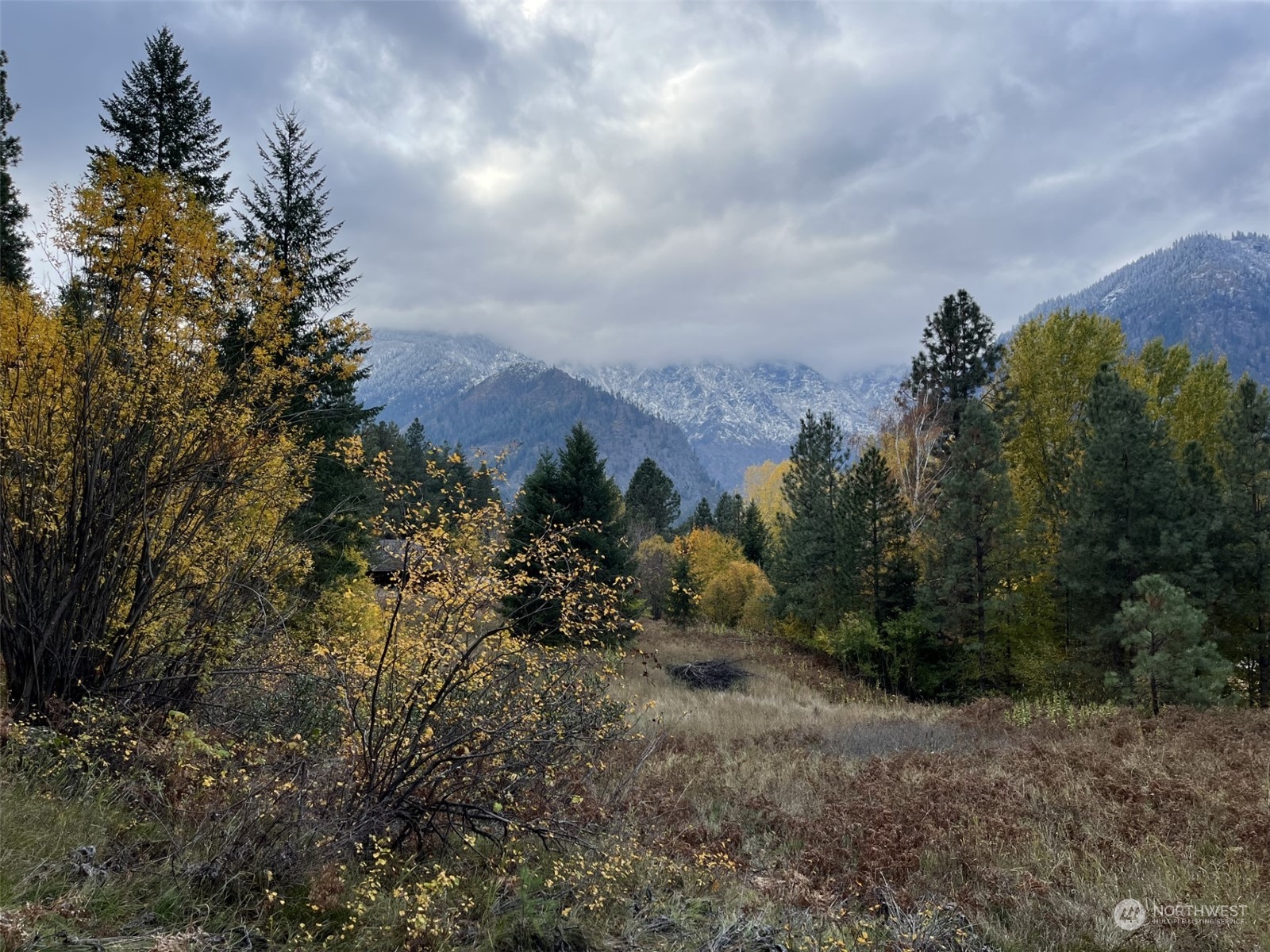 1 Embroden Road Leavenworth, WA 98826 - Photo 2 of 6 a view of a bunch of trees