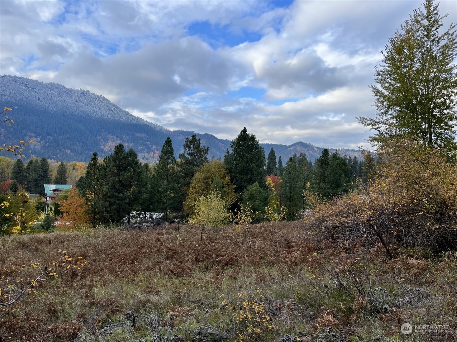 1 Embroden Road Leavenworth, WA 98826 - Photo 3 of 6 a view of a field with trees