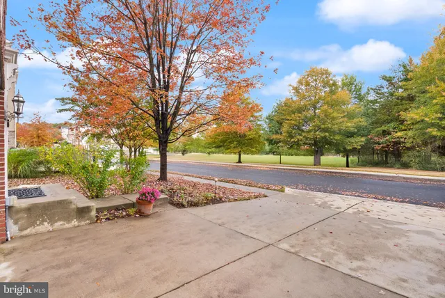 a view of a park with large trees
