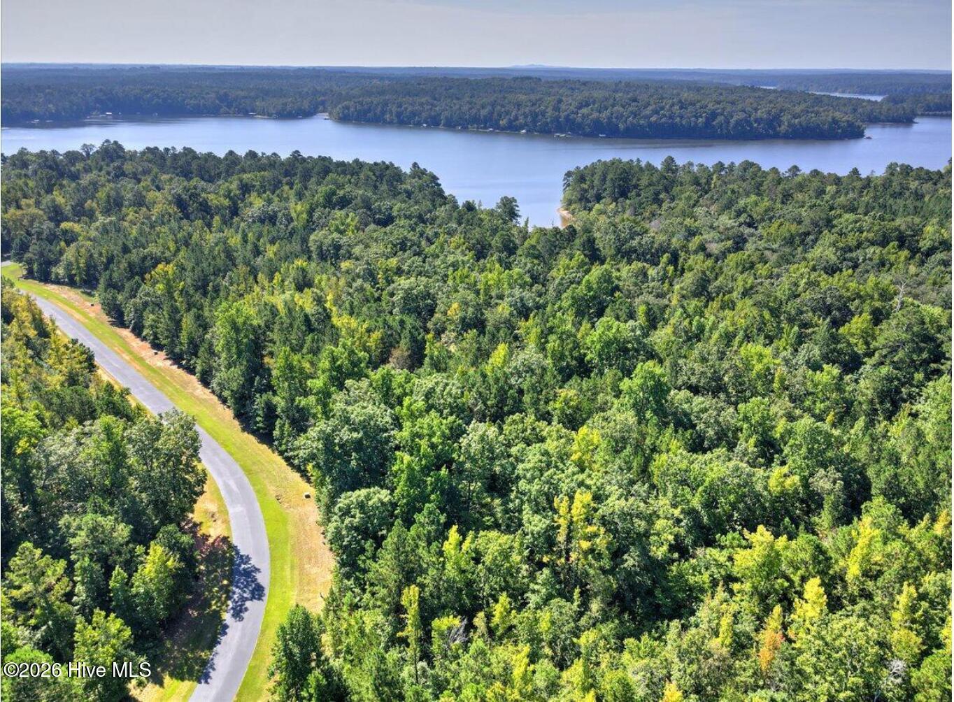 Lot # South Pointe Shores Road Tignall, GA 30668 - Photo 8 of 11