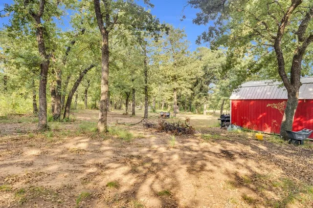 a view of a yard with large trees