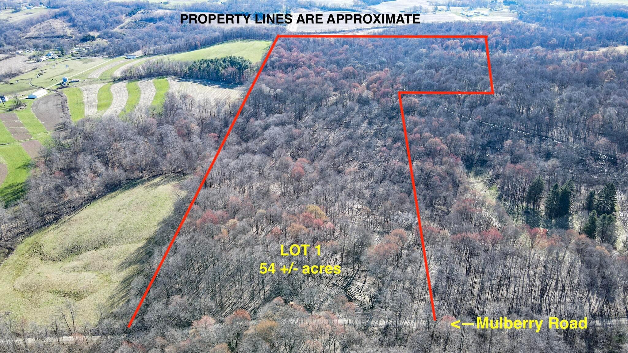 Mulberry Road Lot 1 Lead Photo