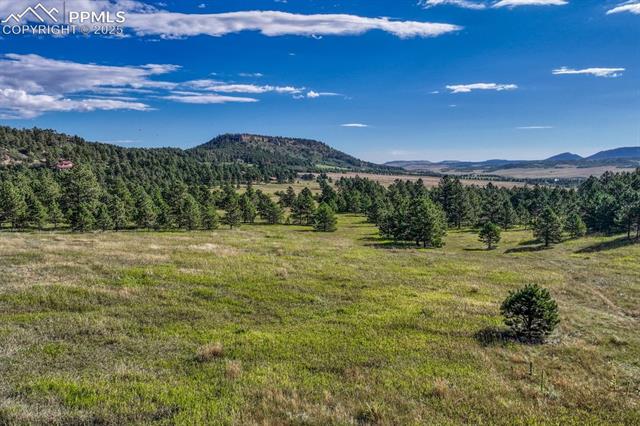Perry Park Road Larkspur, CO 80118 - Photo 29 of 50 Gallery Image 29