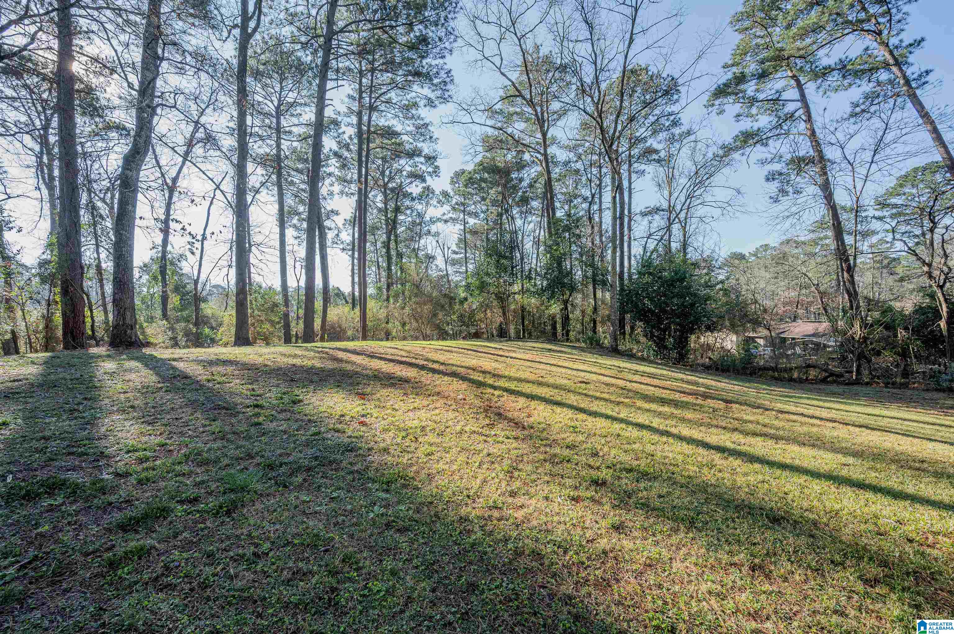 2940 Old Rocky Ridge Road Birmingham, AL 35243 - Photo 40 of 42