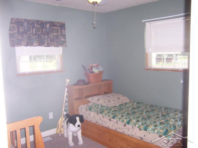 10545 East Birch Run Road Birch Run, MI 48415 - Photo 9 of 15 20367144-8.JPG