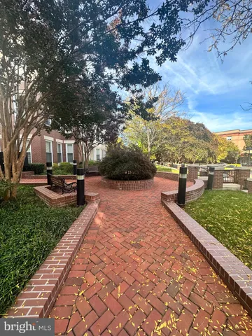 a view of park with large trees