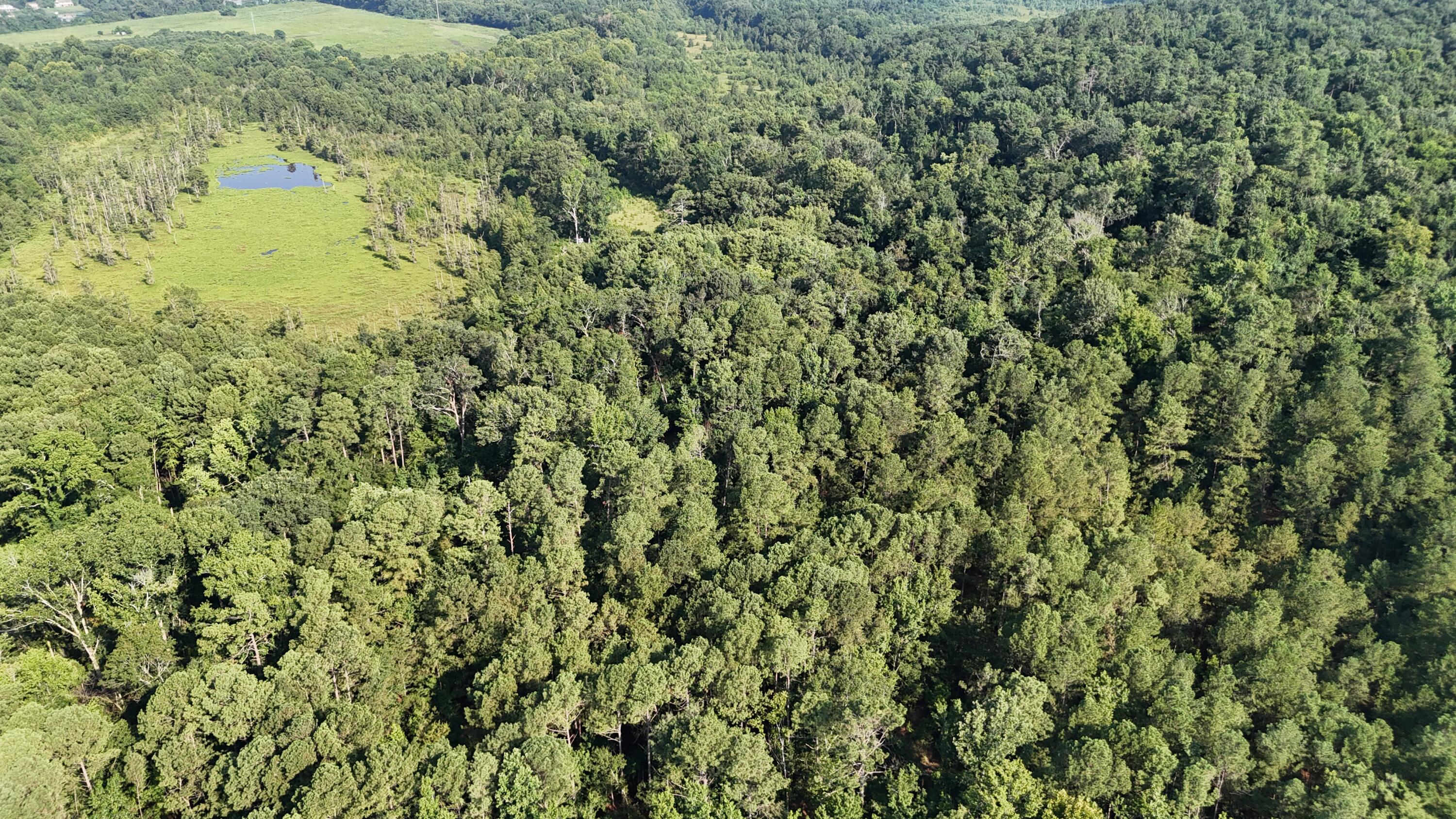 0 Swamp Road Beech Island, SC 29842 - Photo 1 of 21 DJI_20250722102809_0243_D