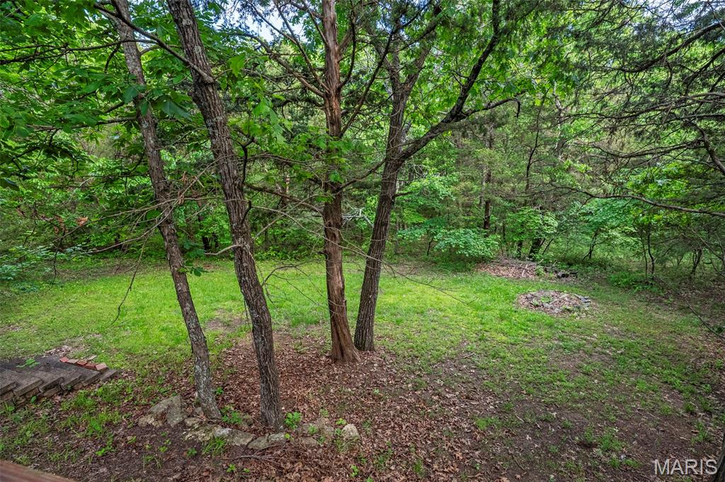 24 Rhett Butler Drive Hillsboro, MO 63050 - Photo 78 of 79