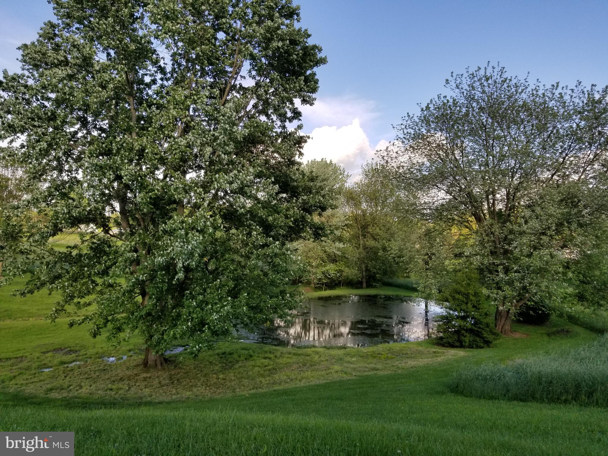 4275 Bark Hill Road Union Bridge, MD 21791 - Photo 23 of 32 Gallery Image 23