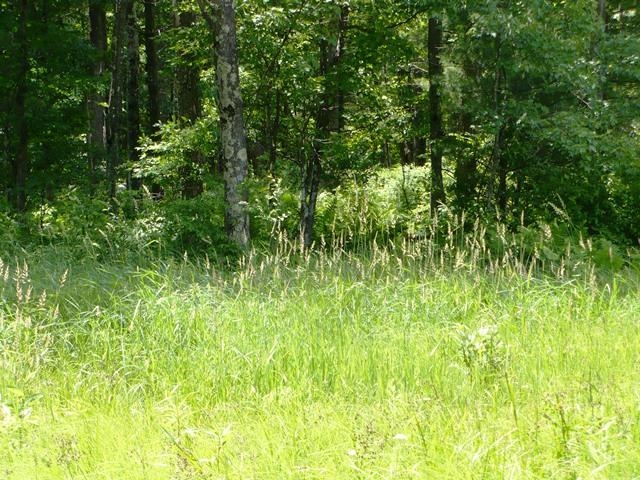 W7512 Poertner Road Neillsville, WI 54456 - Photo 34 of 37