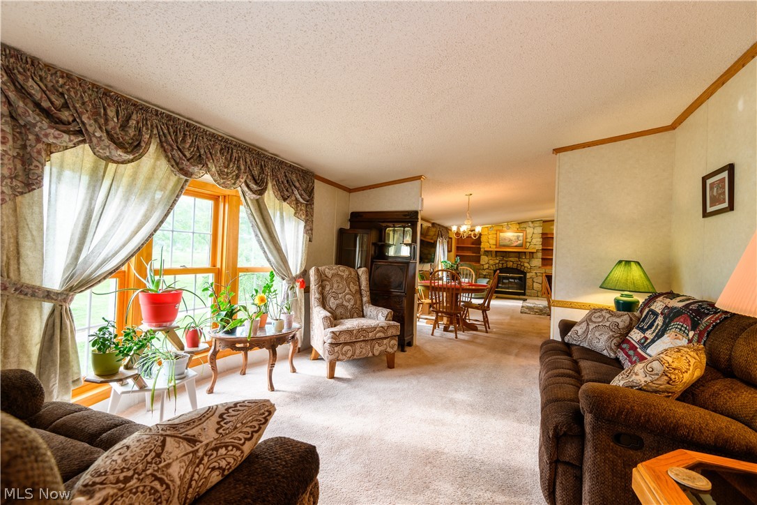 10747 Jones Road Litchfield, OH 44253 - Photo 9 of 31 Gallery Image 9