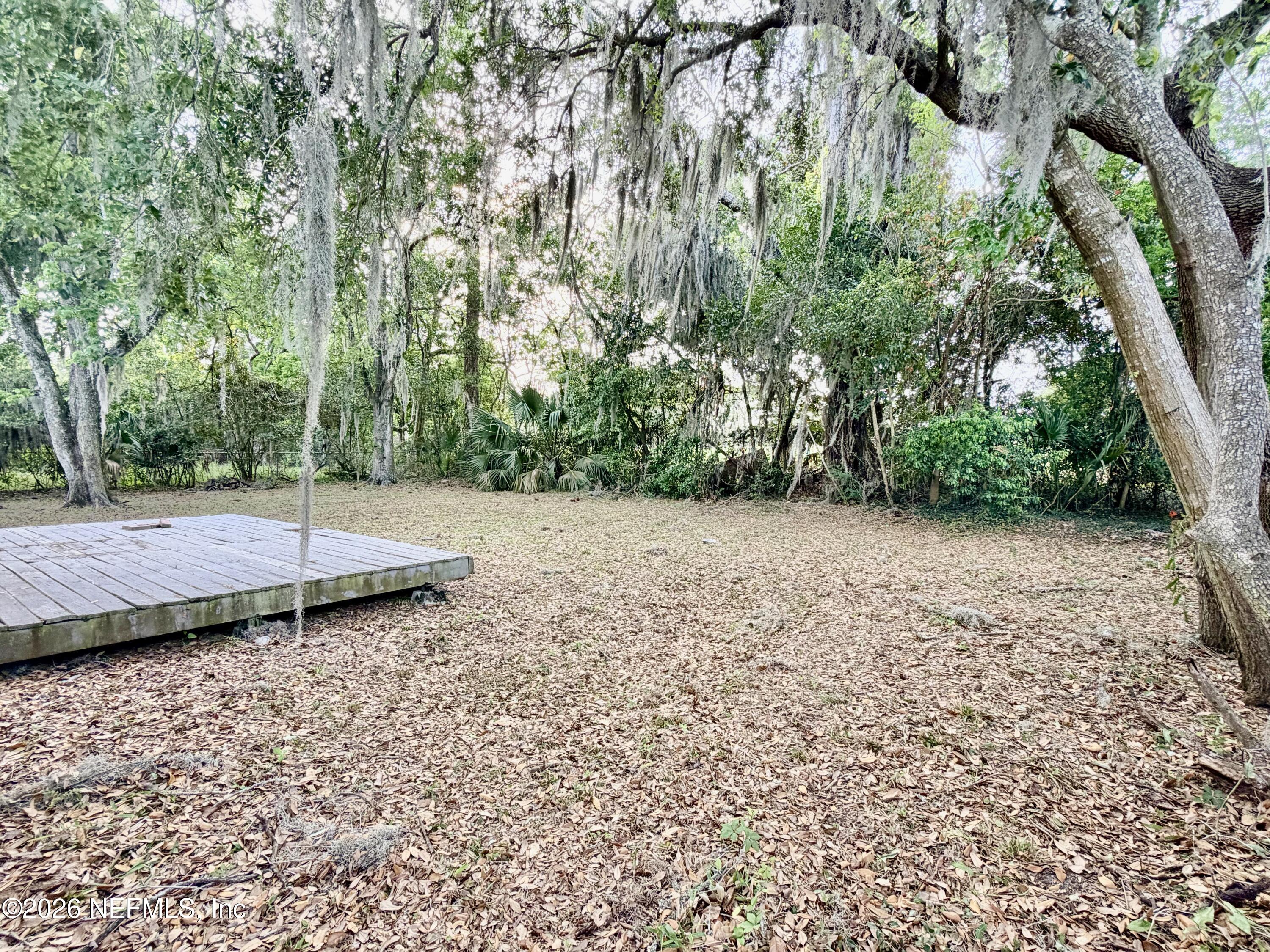 4037 Conga Street Jacksonville, FL 32217 - Photo 26 of 26 a view of a backyard with a trees