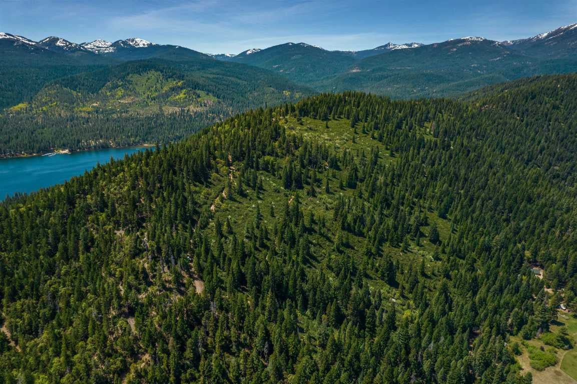 Rainbow Ridge Mount Mount Shasta, CA 96067 - Photo 19 of 21 Gallery Image 19