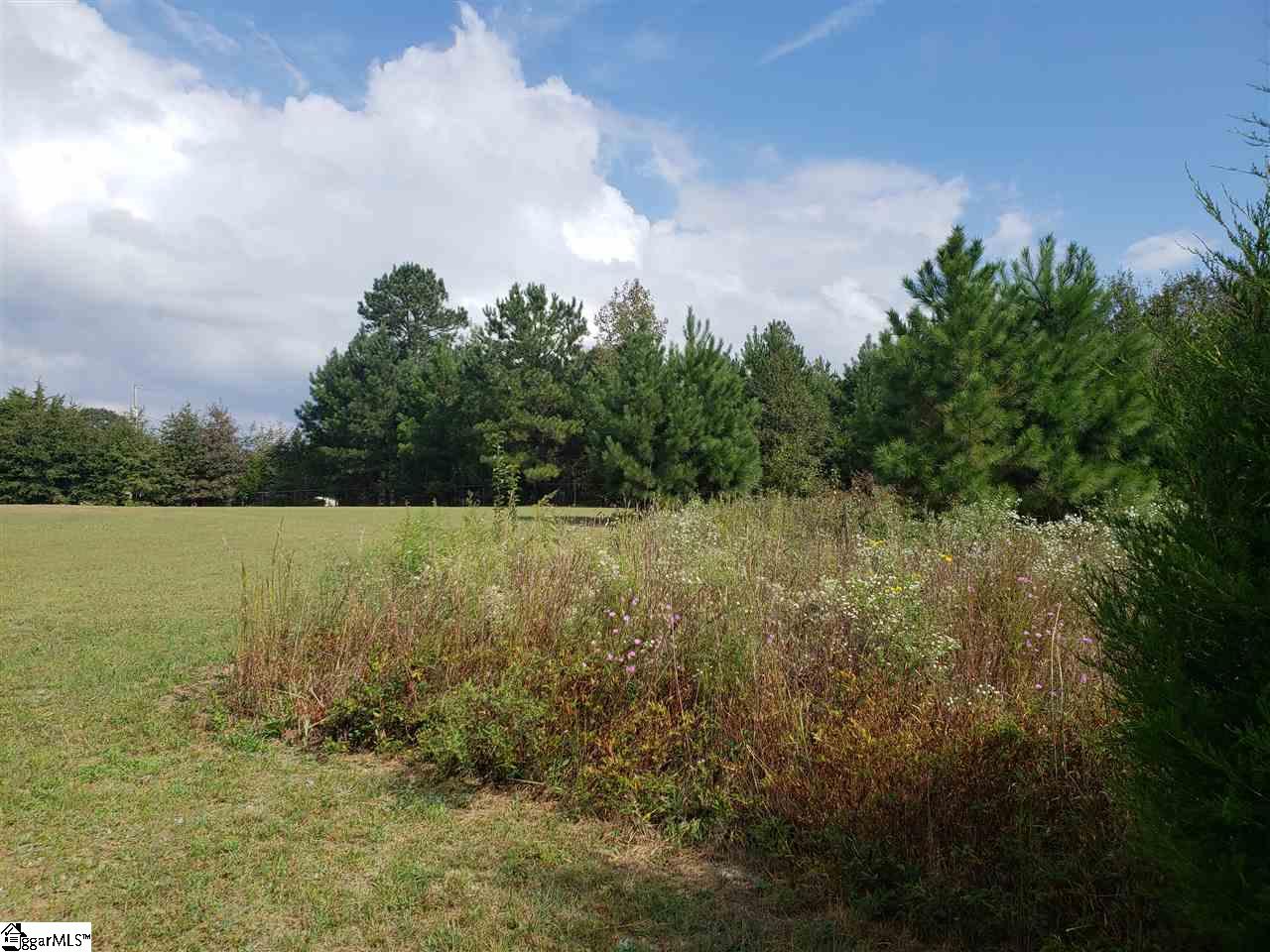 382 Thompson Road Fountain Inn, SC 29644 - Photo 17 of 27 Gallery Image 17