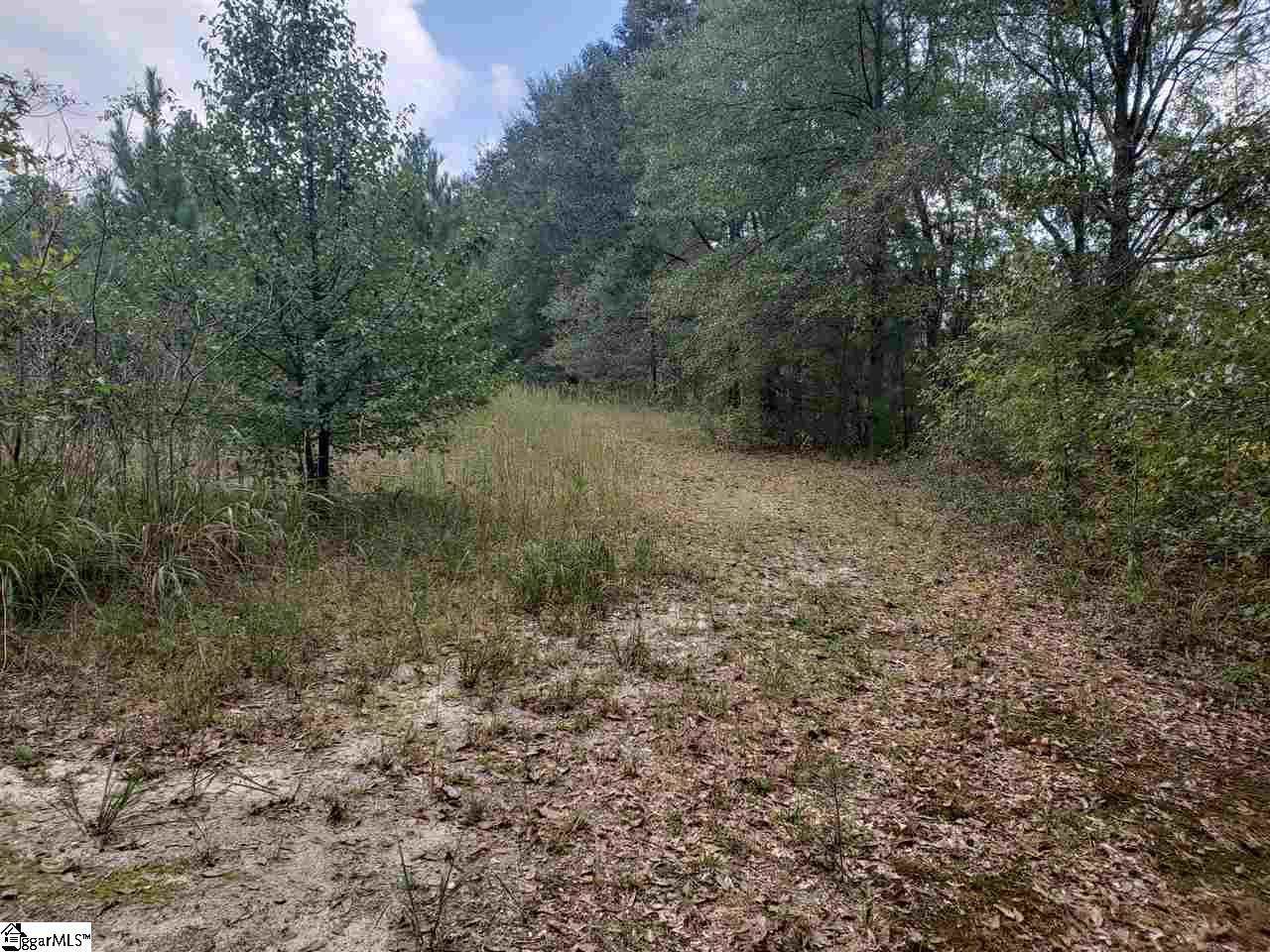 382 Thompson Road Fountain Inn, SC 29644 - Photo 19 of 27 Gallery Image 19