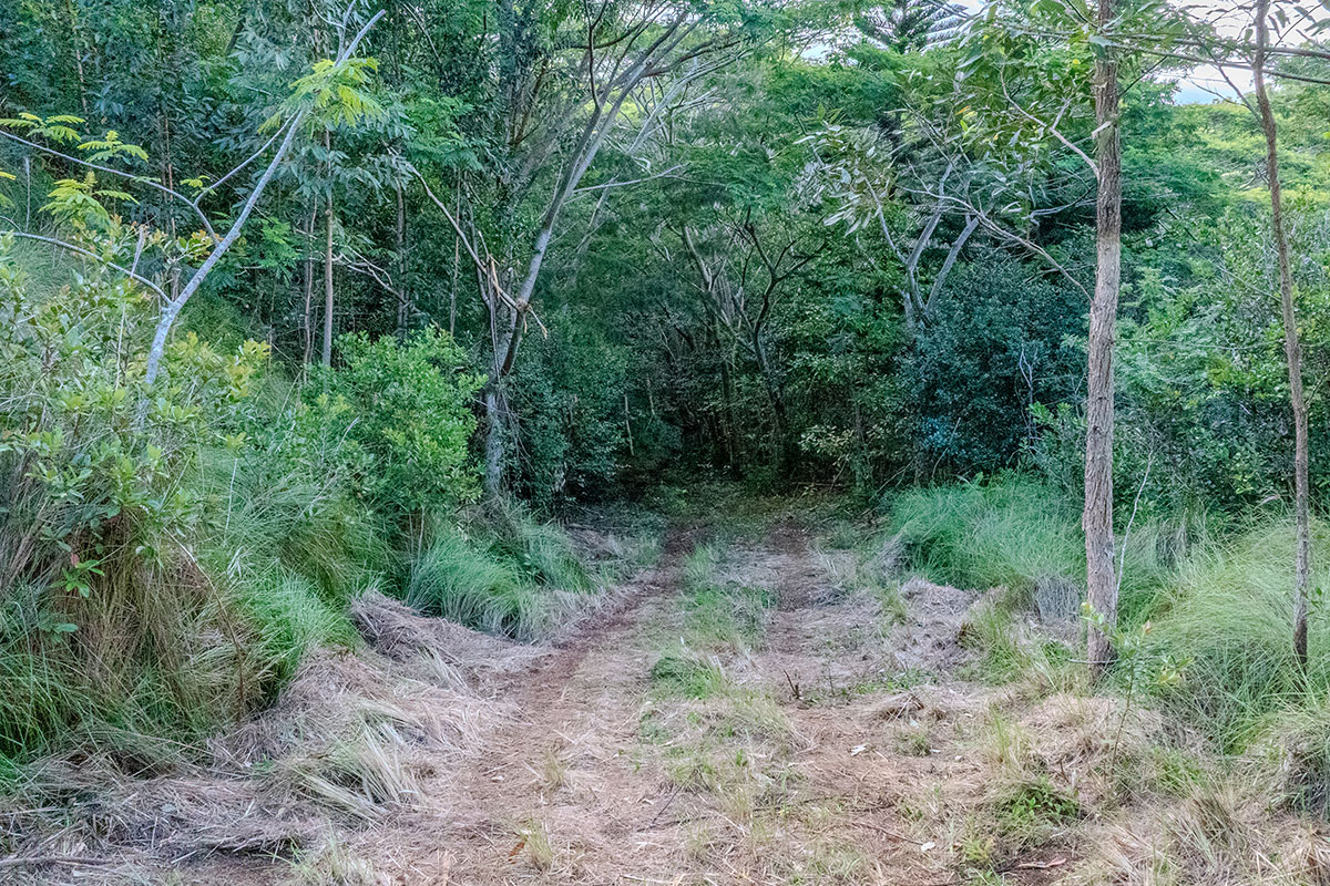 3310 Wawae Road Kalaheo, HI 96741 - Photo 12 of 30