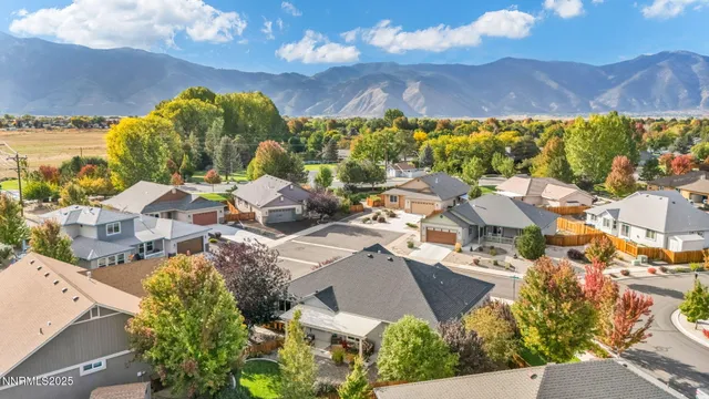 $699,000 | 1707 Monticello Court, Minden, NV 89423