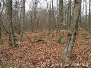 2415 Pleasant Grove Road Southwest Mauckport, IN 47142 - Photo 29 of 32 Gallery Image 29