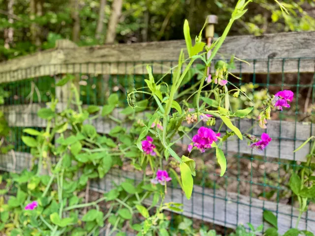 $585,000 | 475 Sunrise Lane, Arlington, VT 05250