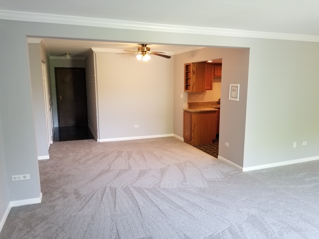 114 East Bailey Road, Unit L Naperville, IL 60565 - Photo 13 of 28