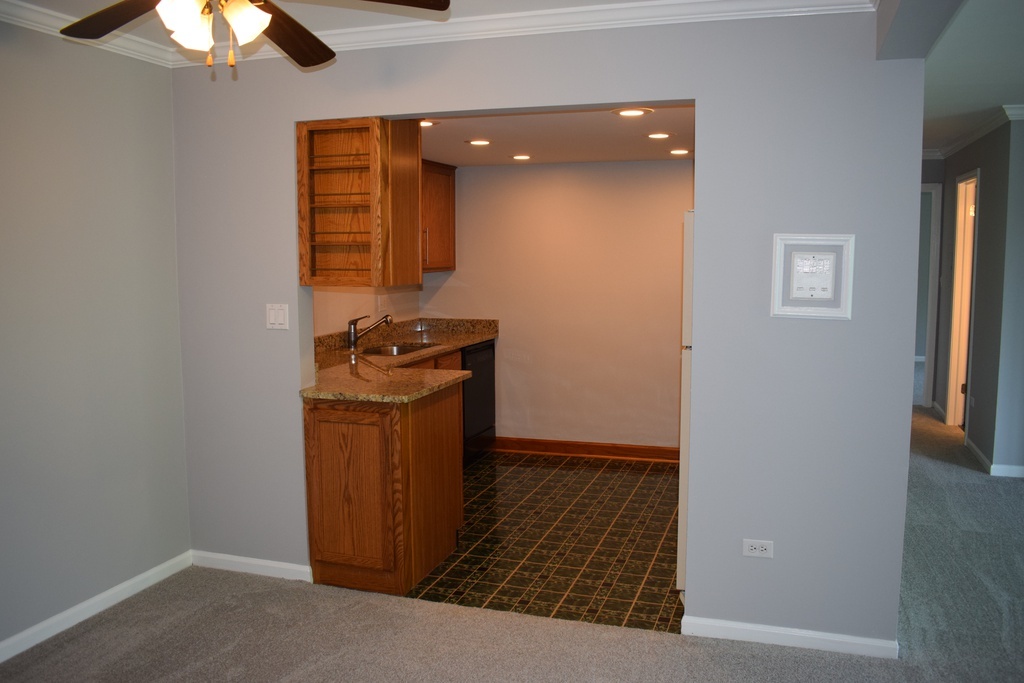 114 East Bailey Road, Unit L Naperville, IL 60565 - Photo 18 of 28