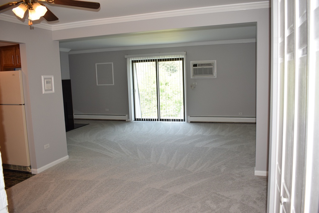 114 East Bailey Road, Unit L Naperville, IL 60565 - Photo 20 of 28