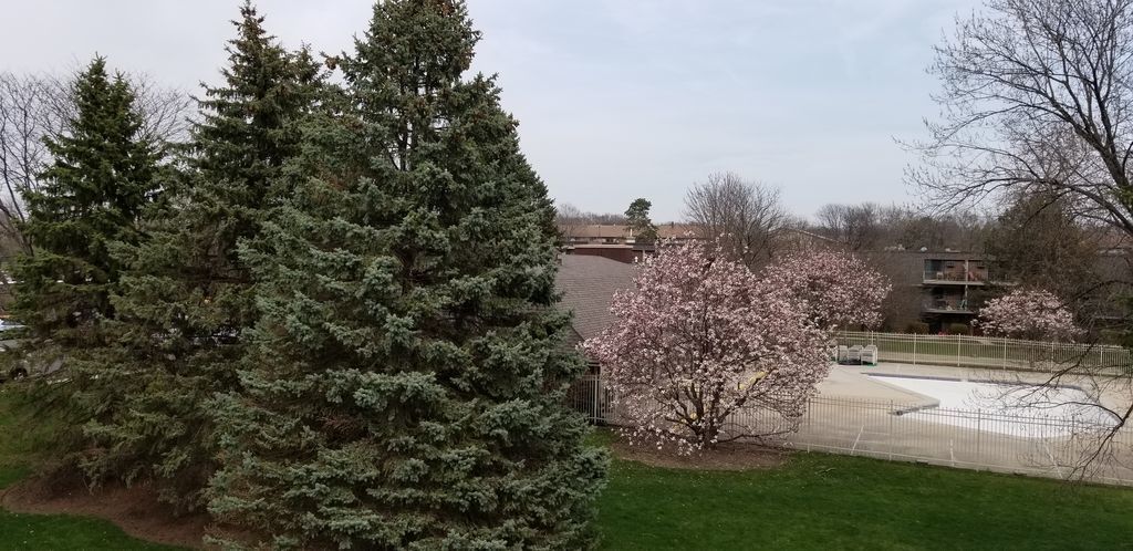 114 East Bailey Road, Unit L Naperville, IL 60565 - Photo 27 of 28