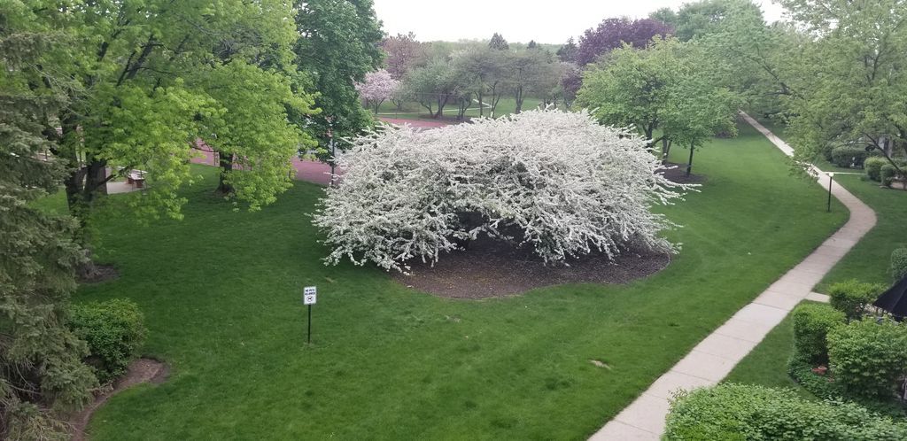 114 East Bailey Road, Unit L Naperville, IL 60565 - Photo 28 of 28