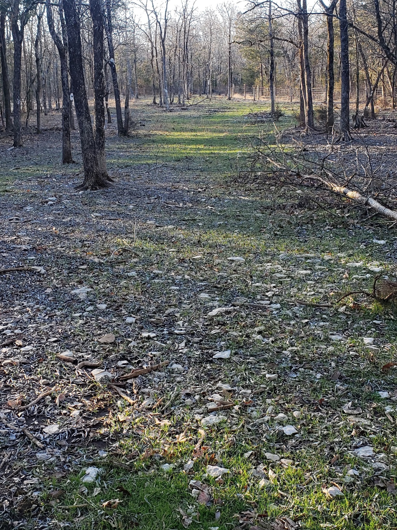 3658 Mahaley Road Chapel Hill, TN 37034 - Photo 11 of 18 a view of outdoor space with trees