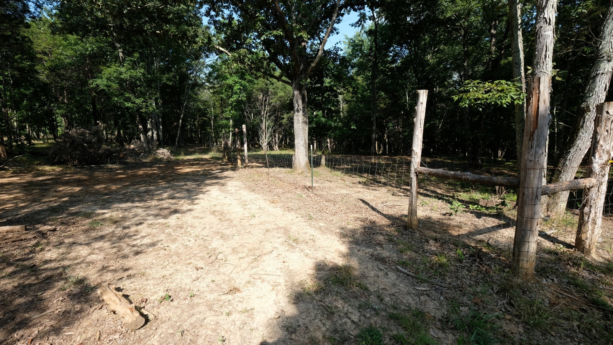 3658 Mahaley Road Chapel Hill, TN 37034 - Photo 13 of 18 a view of a yard with plants and trees