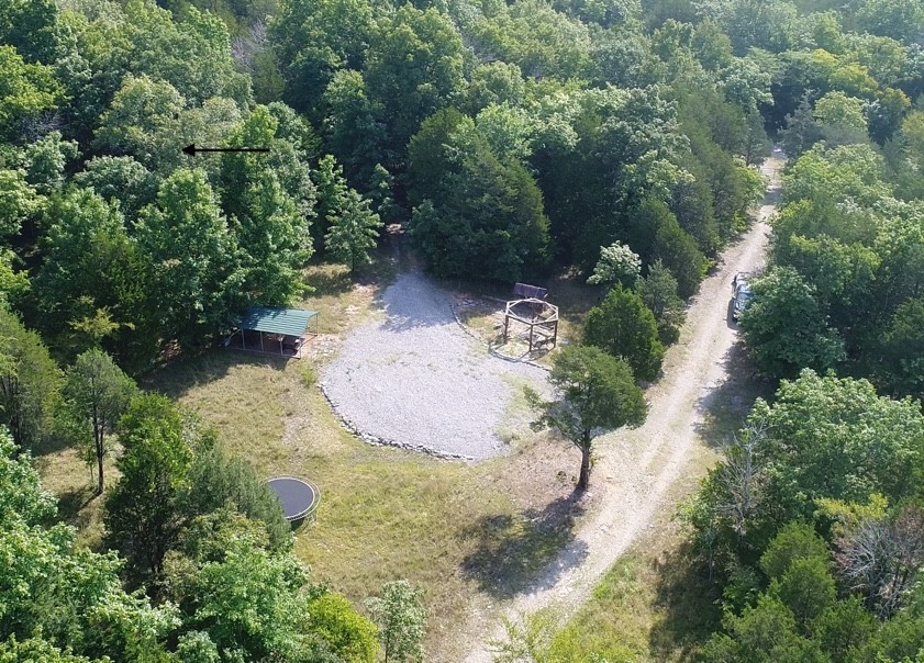 3658 Mahaley Road Chapel Hill, TN 37034 - Photo 15 of 18 an aerial view of a swimming pool