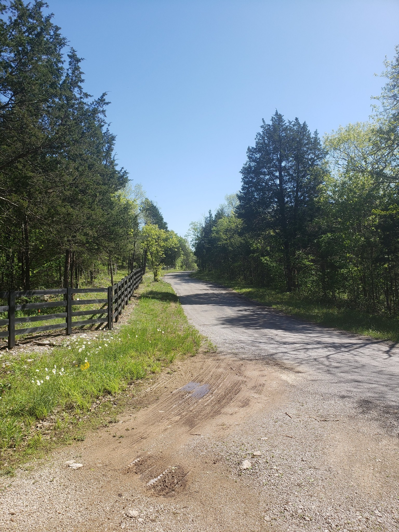 3658 Mahaley Road Chapel Hill, TN 37034 - Photo 3 of 18 a view of backyard with green space