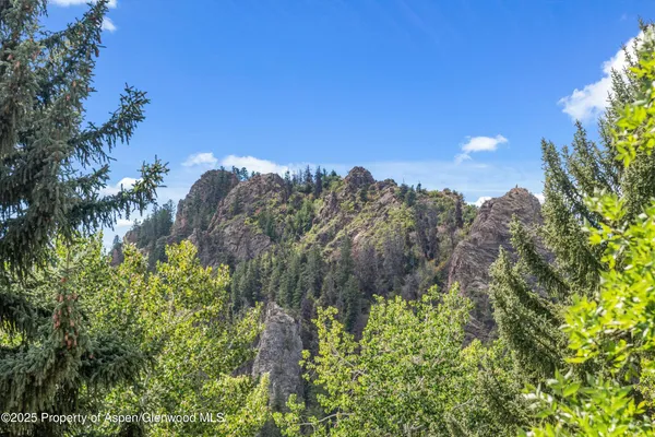 $25,000 | 500 West Francis Street, Unit MAIN HOUSE, Aspen, CO 81611