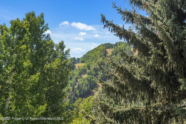 $25,000 | 500 West Francis Street, Unit MAIN HOUSE, Aspen, CO 81611