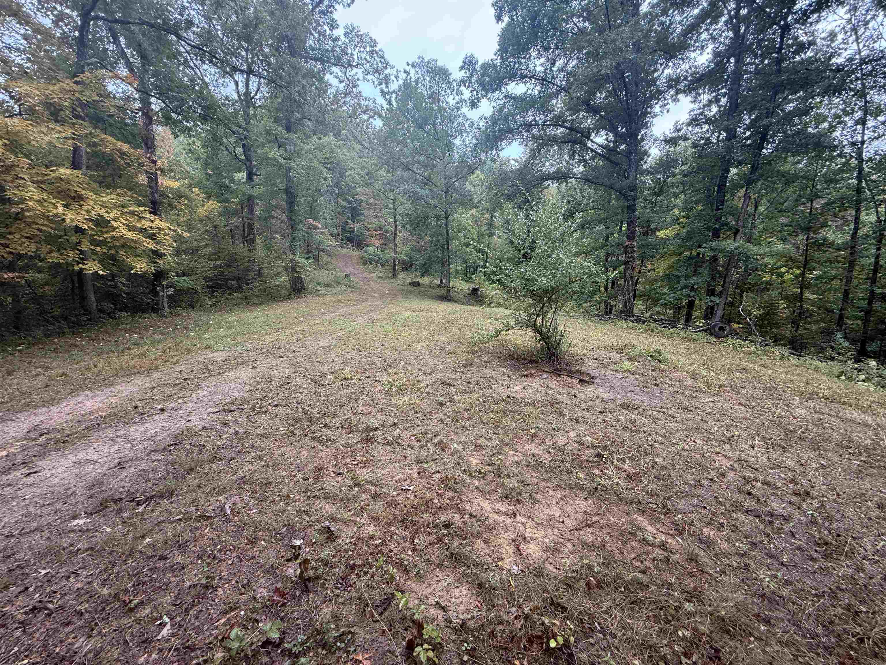 15709 Trace Road Rush, KY 41168 - Photo 2 of 29
