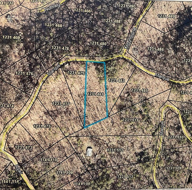 483 Marque Lane Northeast Ranger, GA 30734 - Photo 20 of 21 Gallery Image 20