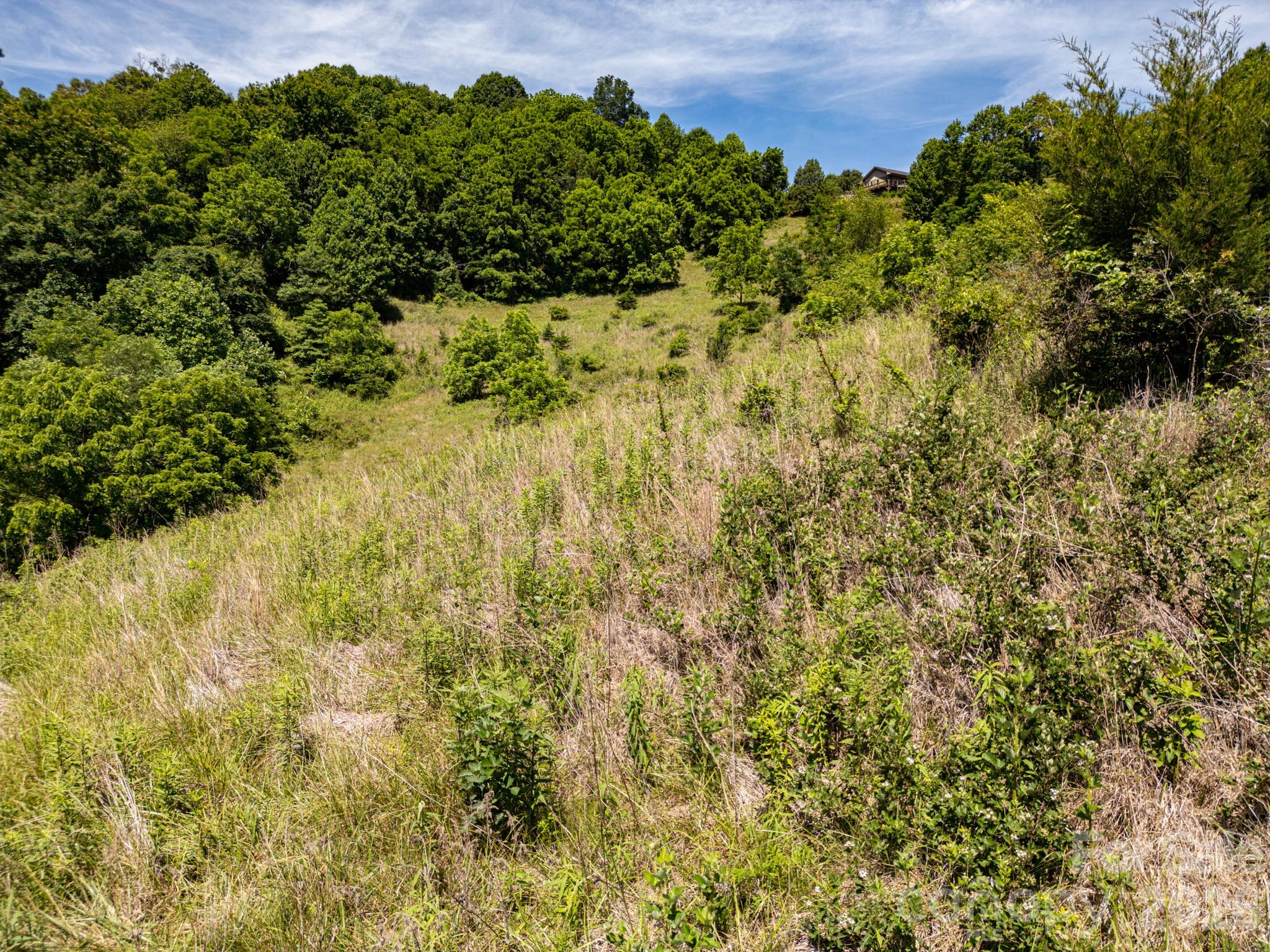 999 Murphy Cove Road Candler, NC 28715 - Photo 33 of 48