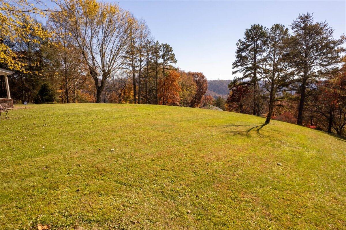 622 Jones Road Sneedville, TN 37869 - Photo 4 of 73 05-JonesRD-3