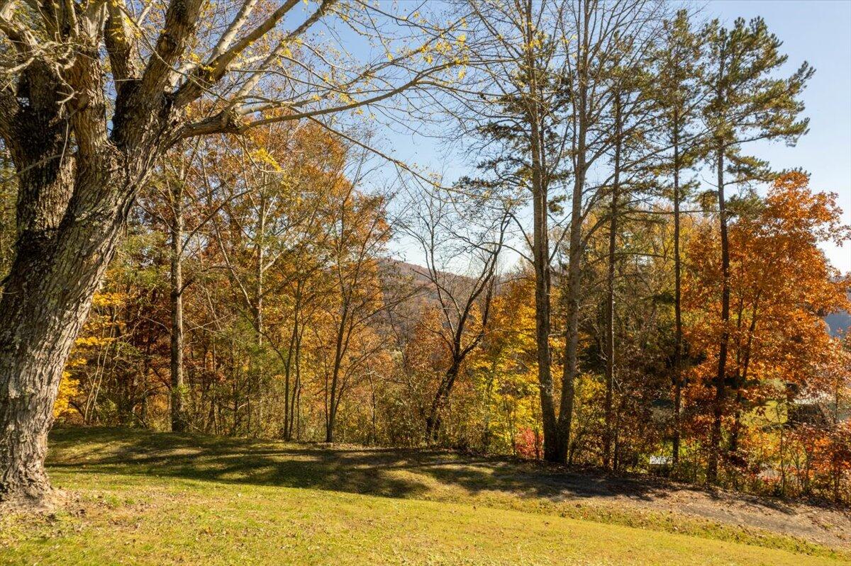 622 Jones Road Sneedville, TN 37869 - Photo 6 of 73 09-JonesRD-7