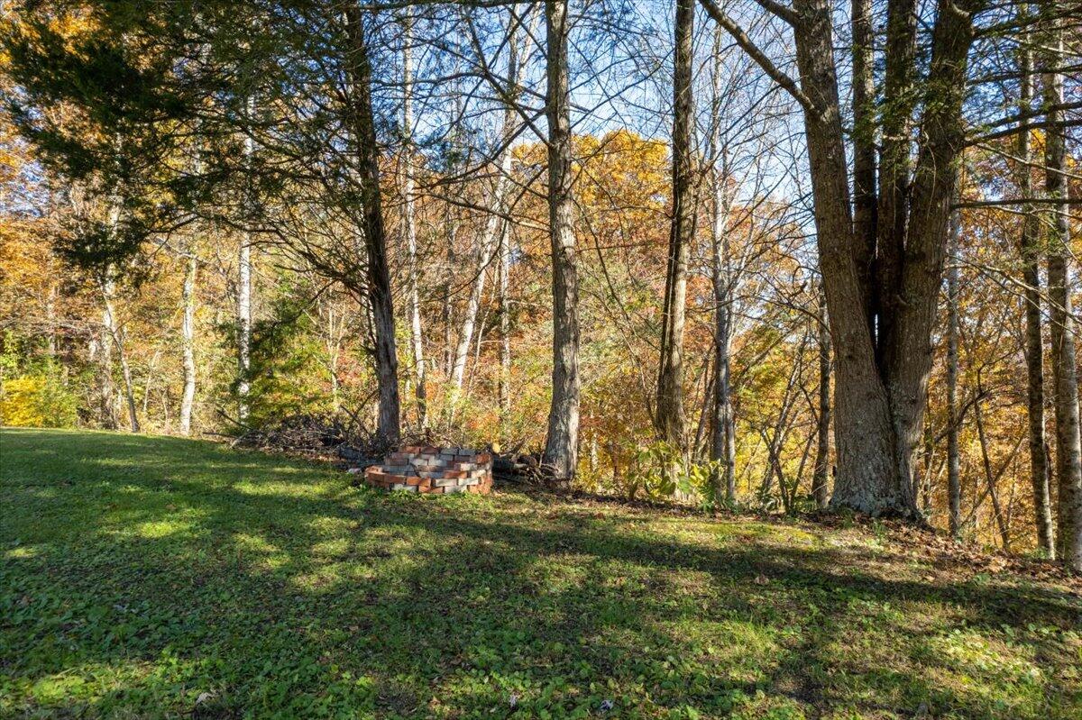 622 Jones Road Sneedville, TN 37869 - Photo 9 of 73 12-JonesRD-11