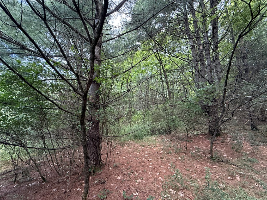 West Whitcomb Road Barton, NY 13734 - Photo 14 of 26 Gallery Image 14